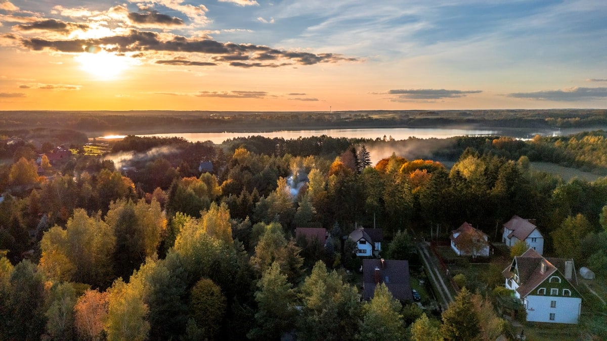 Sunset over a forest and homes.